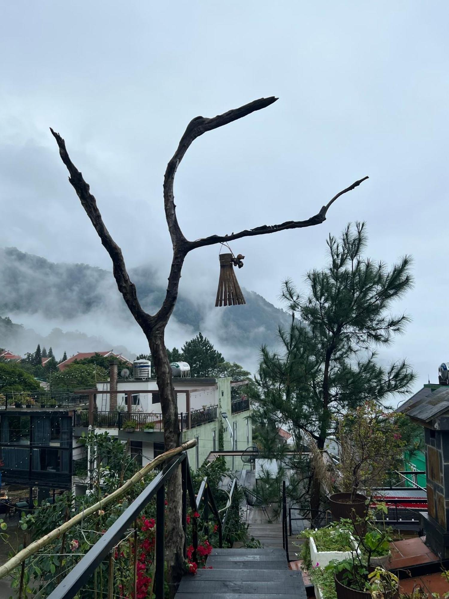Bách Xanh House. Triangle Bungalow Tam Dao Ngoại thất bức ảnh
